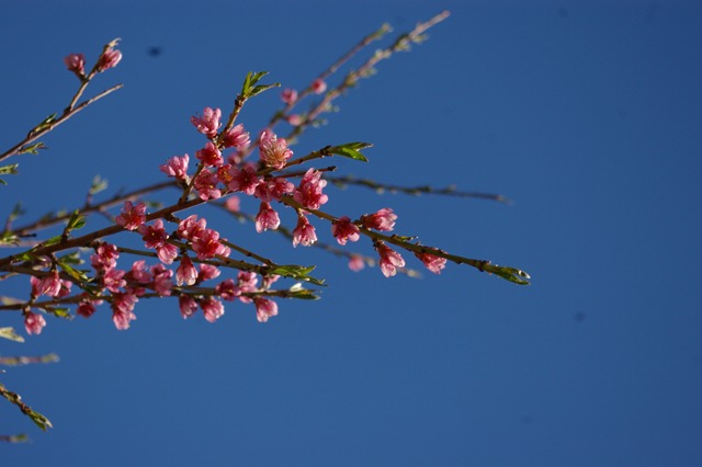 [2009 04 21_0639[2].jpg]