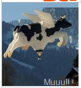 [image[37].png]
