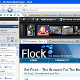Flock Photos