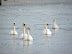DSCN1444.JPG