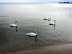 DSCN1446.JPG