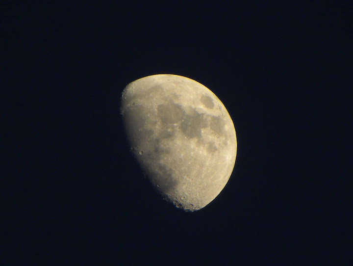 DSCN1395.JPG