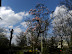 DSCN1386.JPG
