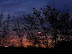 pic00615 (Modified in Gwenview).jpg