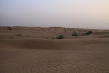 IMG_5257.JPG