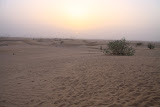 IMG_5316.JPG