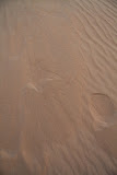 IMG_5291.JPG