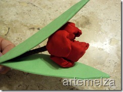artemelza - tulipa franzida