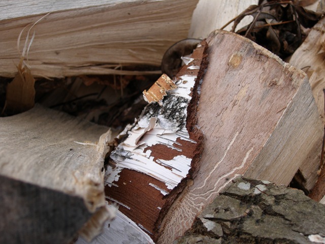 [Nov2008 156[7].jpg]