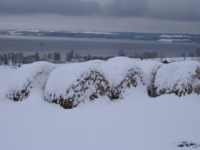 [Jan2009 372[4].jpg]