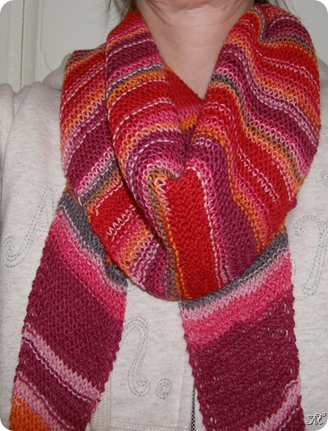 Mars2009 099