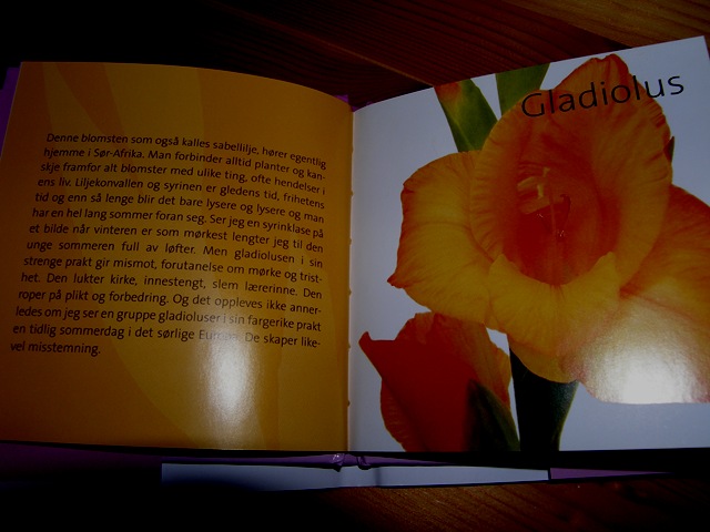 [April20092609.jpg]