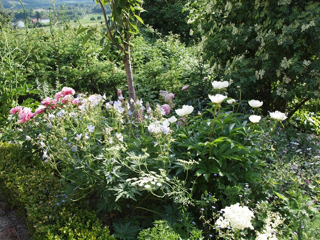 [Juni2009 472[4].jpg]