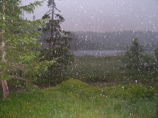 [Juli2008 200[4].jpg]