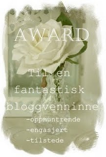 [award fra Solveig[5].jpg]