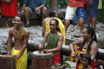 Les 'pahu'
