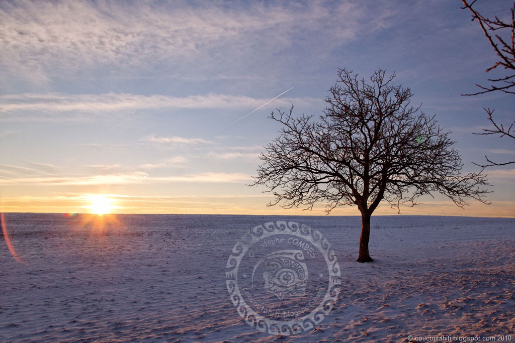 [IMG_1864_DxO[2].jpg]