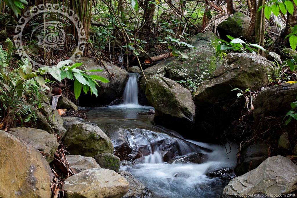 [IMG_2011-004545_DxO[2].jpg]