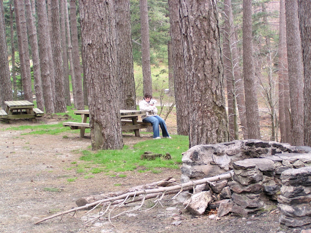 2006-04-09-L%C2%B4Albera_05.jpg