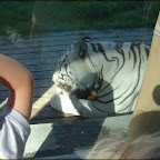 200508ParkenZoo 200508ParkenZoo