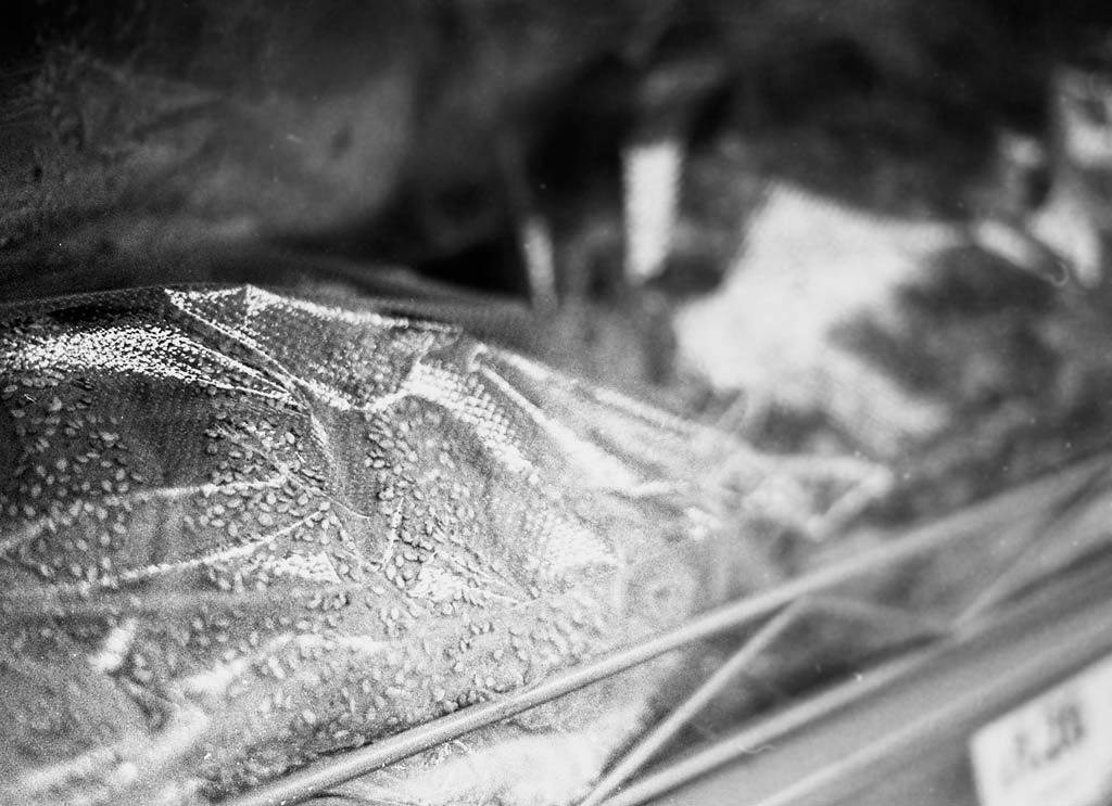 [At-the-Supermarket-7---Film[4].jpg]
