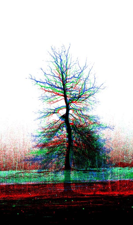 [The-Tree-3---Tri-Chromatics[3].jpg]
