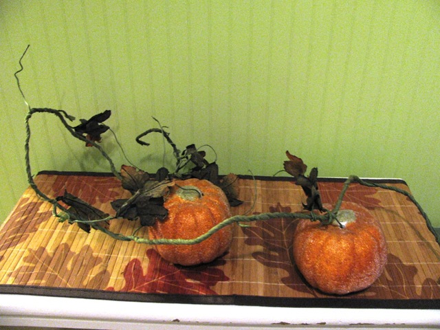 [pumpkins on vine1[5].jpg]