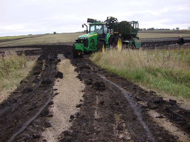 [DSC00678[26].jpg]