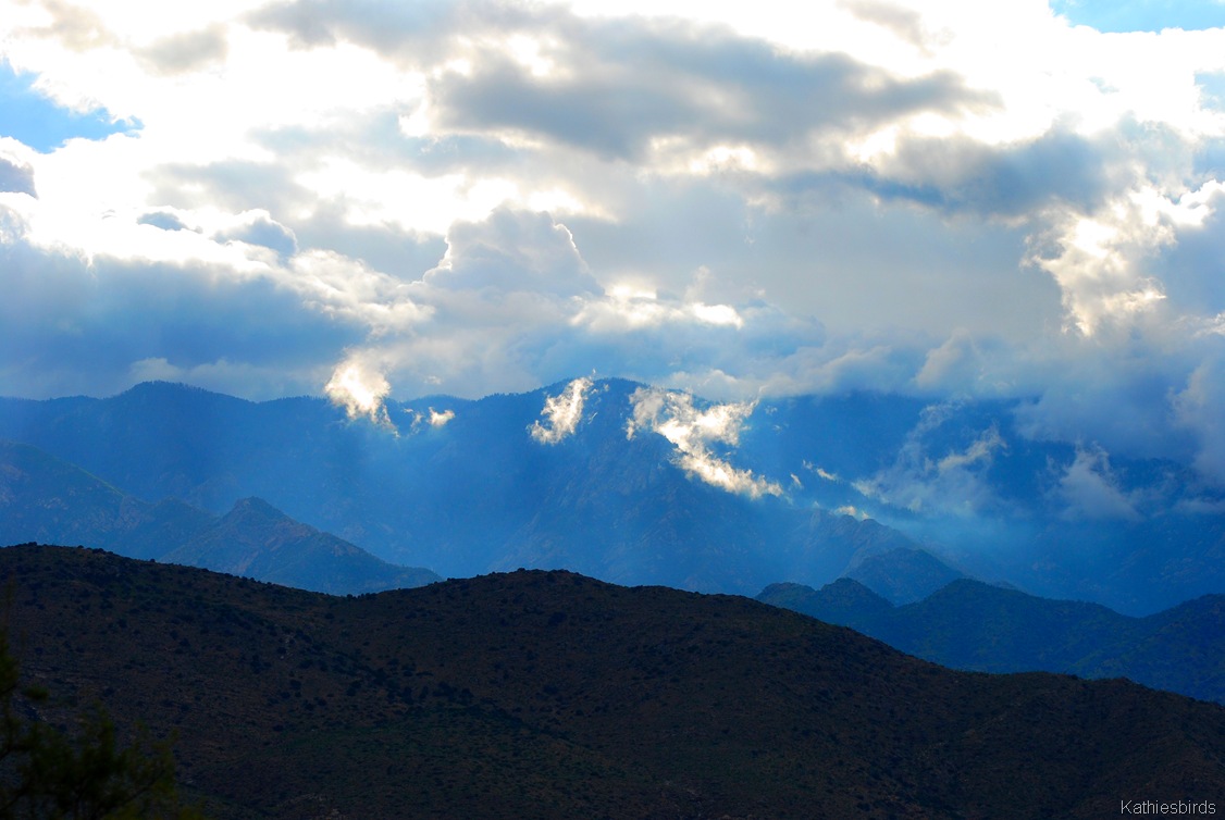 [DSC_0058[11].jpg]