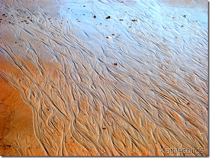 DSC_0052 DSC_0052