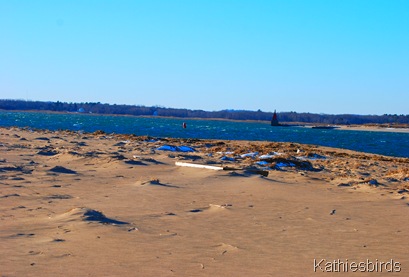 DSC_0034 DSC_0034