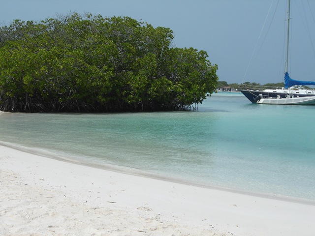 [los_roques_dia_193.jpg]
