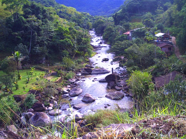 [PICT0111[4].jpg]