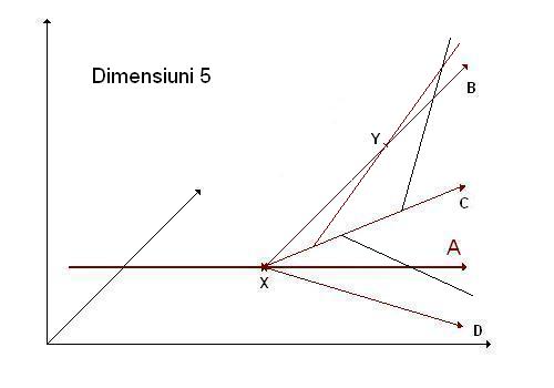Dimensiuni 5