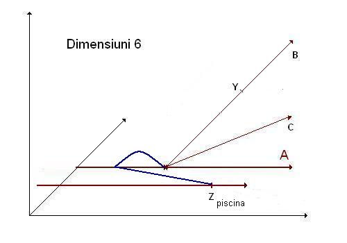 Dimensiune 6