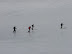 reflejos en el hielo