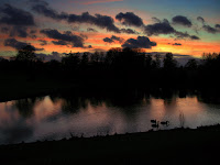 IMG_1187.JPG