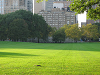 IMG_1068.JPG