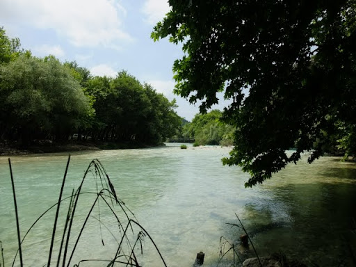 Posted Image