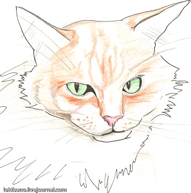 Кошки нарисованные кошки найти Кошки нарисованные кошки найти