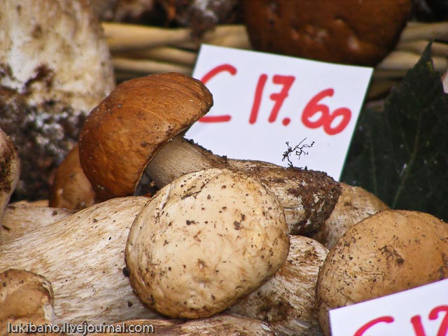 Итальянские трюфеля и белые 