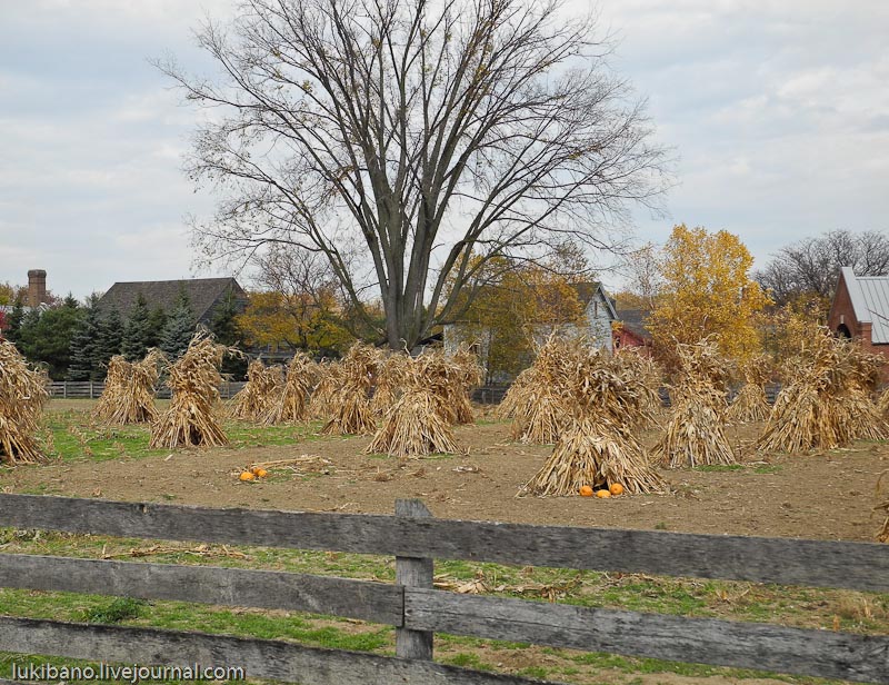 Гринфилд Вилладж - 1