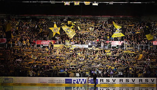 Eishockey in Krefeld macht wieder Spaß - Newsboard - Forum von Fans für Fans