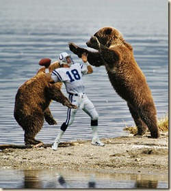 bears-attacking-peyton-manning