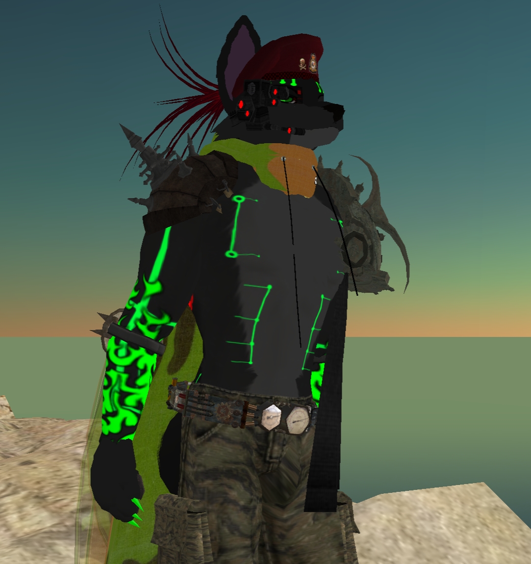 [Snapshot_007A.jpg]