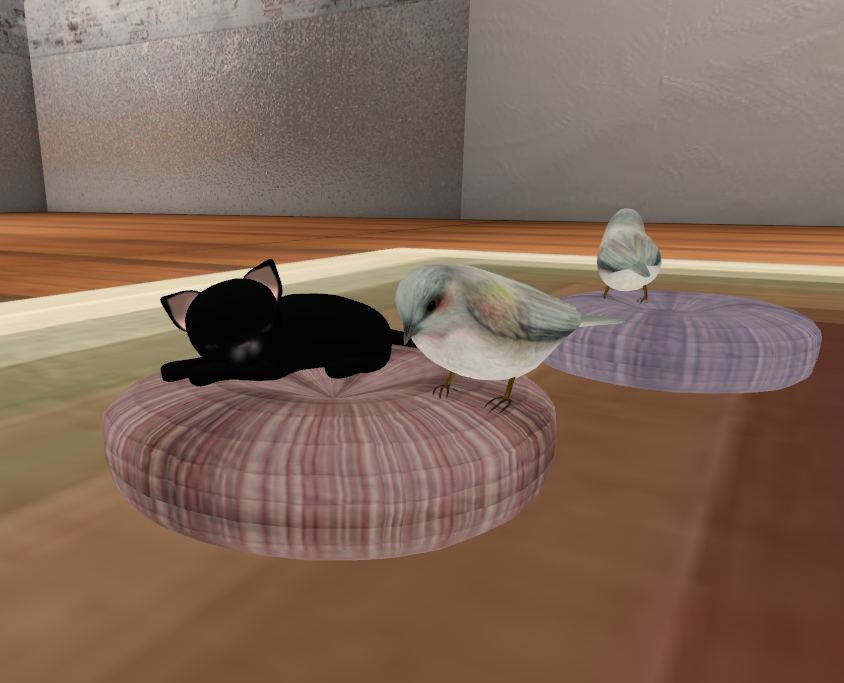 [Snapshot_4844A.jpg]