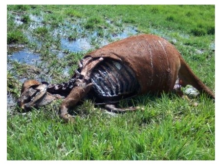 [sanchez-hg-20091126[4].jpg]