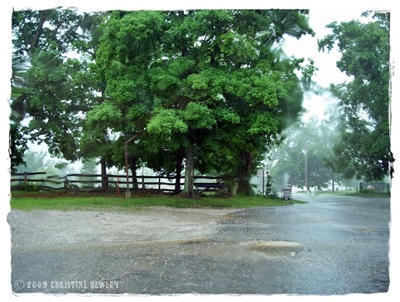 Huntsville Store parking lot...in the rain.