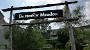 Butterfly Meadow 