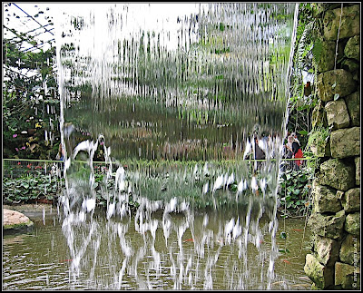 Парк орхидей – Утопия